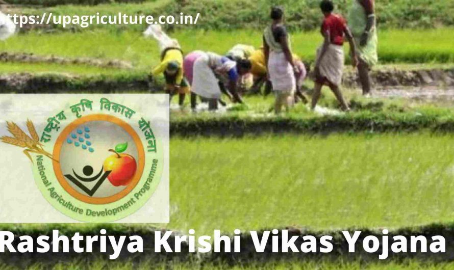 राष्ट्रीय कृषि विकास योजना – Rashtriya Krishi Vikas Yojana 2021
