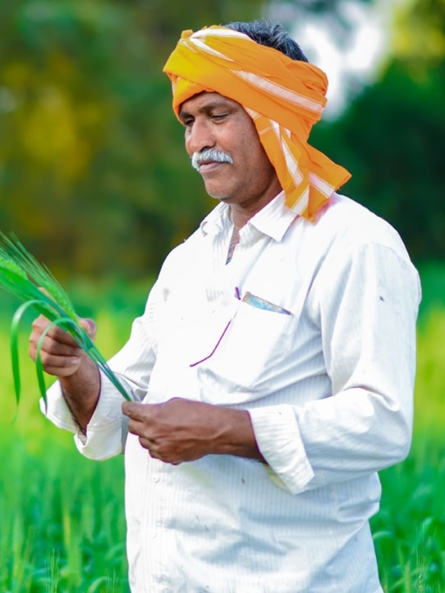 उत्तर प्रदेश शादी अनुदान योजना से संबंधित जानकारी।