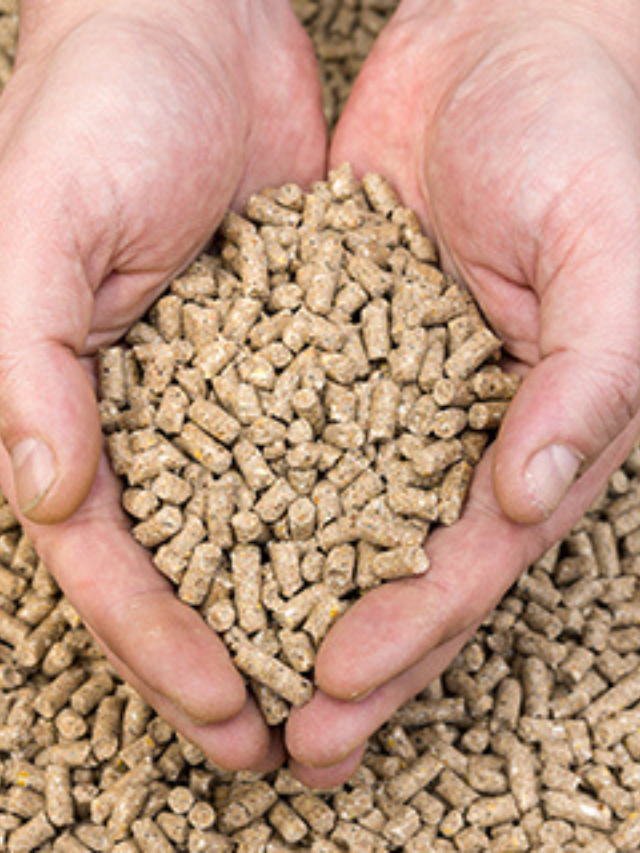 पशुआहार | Pashu Aahar Details