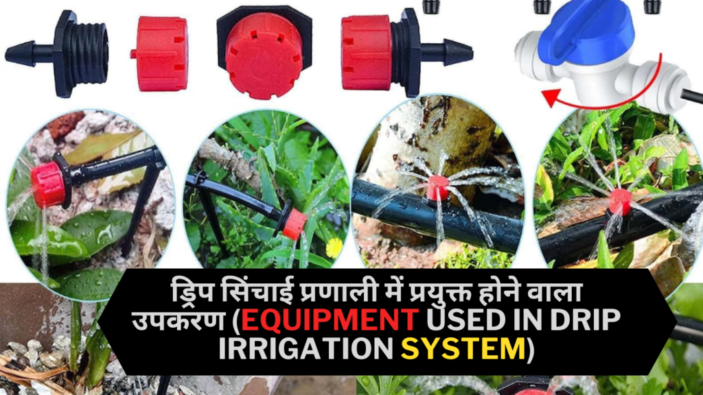 trickle irrigation