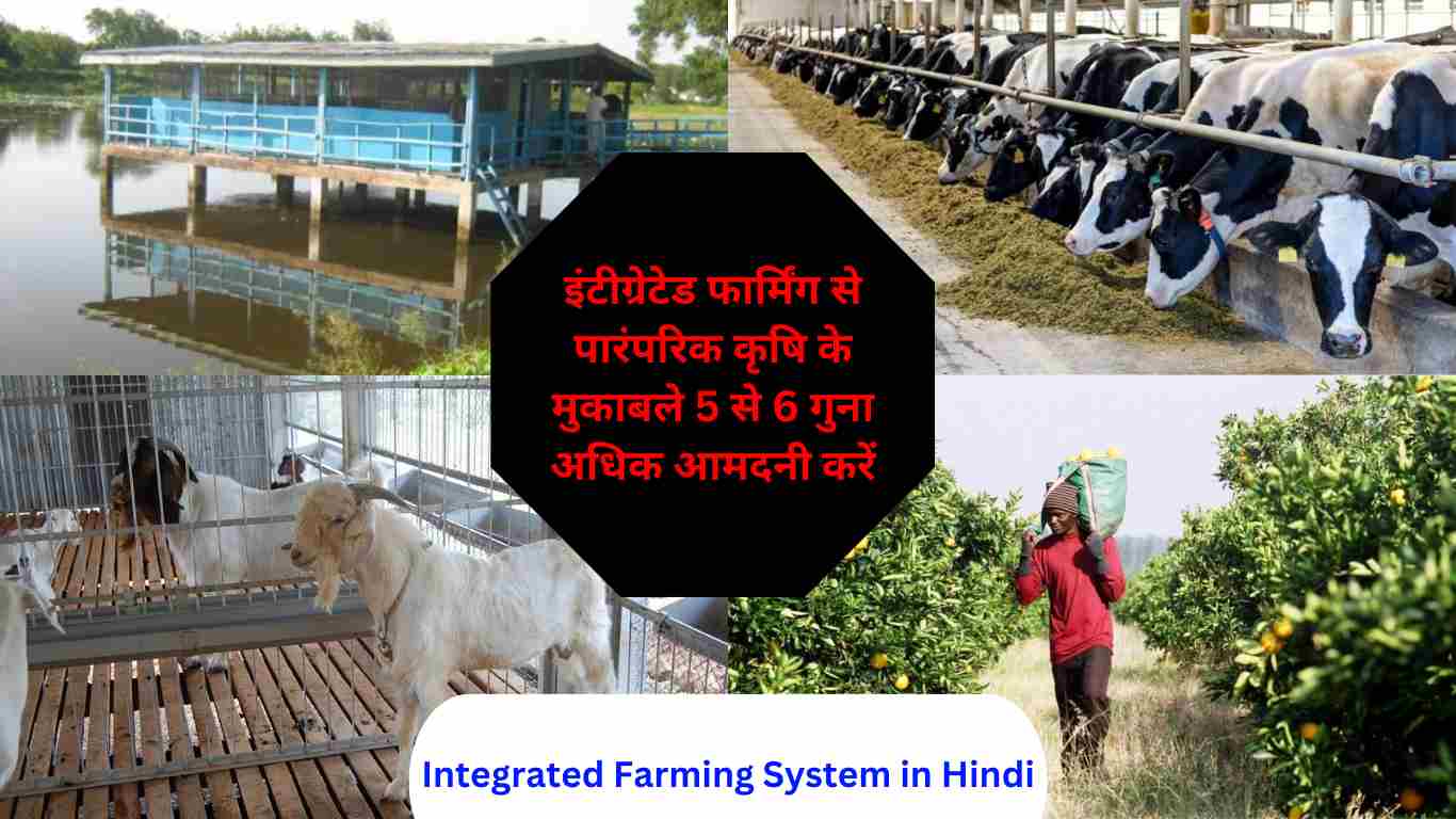Integrated Farming System in Hindi